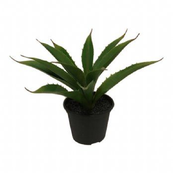 salg af Kunstig agave med potte, H20 cm.