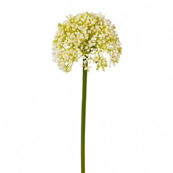 salg af Kunstig allium, creme - H35 cm.