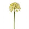 salg af Kunstig allium, creme - H35 cm.