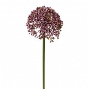 salg af Kunstig allium, lilla - H35 cm.