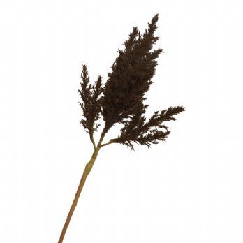 salg af Kunstig brun astilbe, H80 cm.