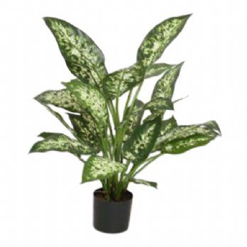 salg af Kunstig dieffenbachia, H50 cm.