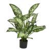 salg af Kunstig dieffenbachia, H50 cm.