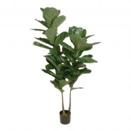 salg af Kunstig fiddle leaf, H180 cm.