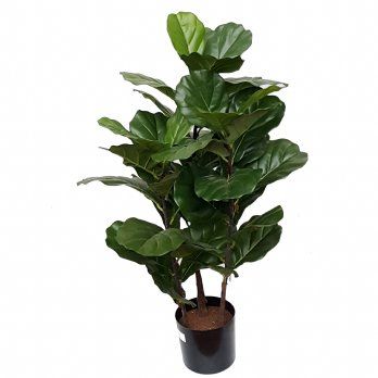 salg af Kunstig fiddle leaf, H100 cm.