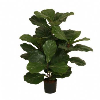 salg af Kunstig fiddle leaf, H65 cm.