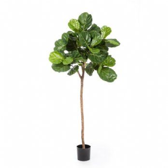 salg af Kunstig fiddle leaf, H200 cm.