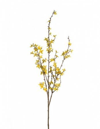 salg af Kunstig forsythiagren, H80 cm.