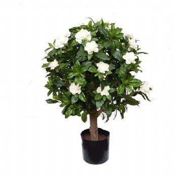 salg af Kunstig gardenia, hvid H60 cm.