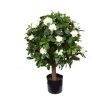 salg af Kunstig gardenia, hvid H60 cm.