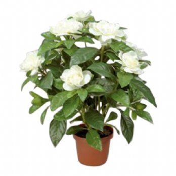 salg af Kunstig hvid gardenia, H32 cm.