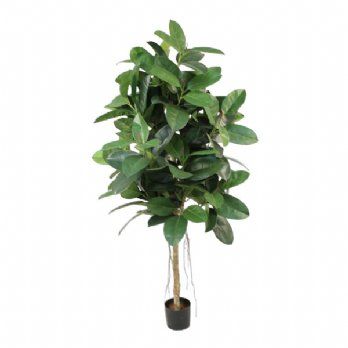 salg af Kunstig gummiplante, H200 cm.