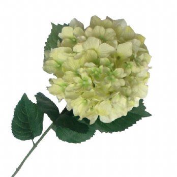 salg af Kunstig Lime hortensia,  H80 cm.