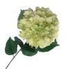 salg af Kunstig Lime hortensia,  H80 cm.