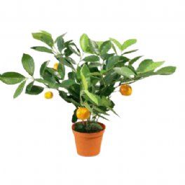 salg af Kunstig citrus plante, H35 cm.