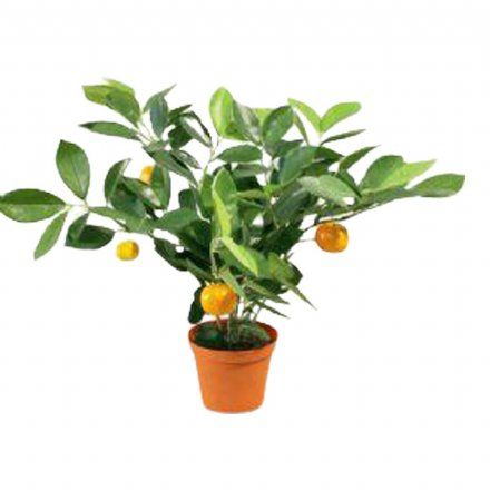 salg af Kunstig citrus plante, H35 cm.