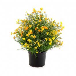 salg af Kunstig gypsophila busk, H50 cm.