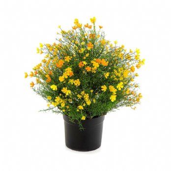 salg af Kunstig gypsophila busk, H50 cm.