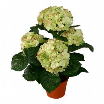 salg af Kunstig lime hortensia, H40 cm.