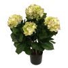 salg af Kunstig lime hortensia, H55 cm.