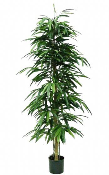 salg af Kunstig longifolia, H110 cm.