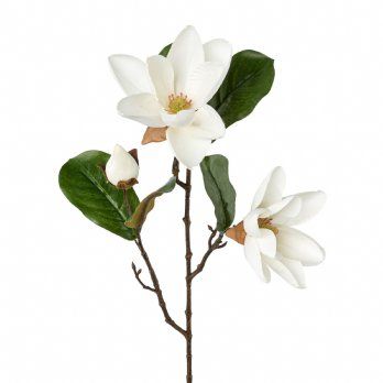 salg af Kunstig magnolie, hvid - H65 cm.