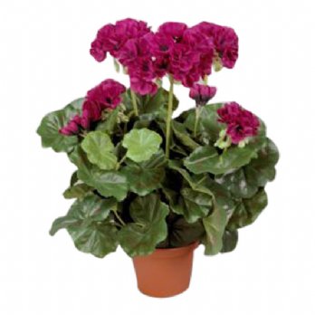 salg af Kunstig fuchia pelargonie, H35 cm.