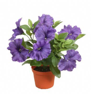 salg af Kunstig lilla petunia, H25 cm.