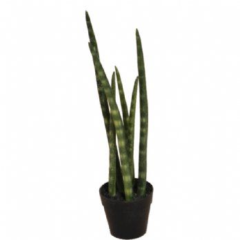 salg af Kunstig sanseveria, H40 cm.