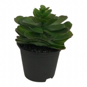 salg af Kunstig sukkulent, 15 cm - kunstig plante