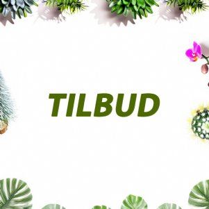 Tilbuds varer