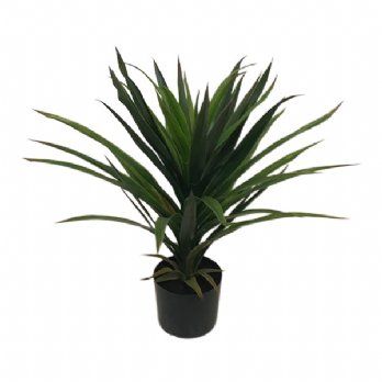 salg af Kunstig yucca plante, H65 cm.